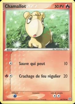 Carte Pokémon