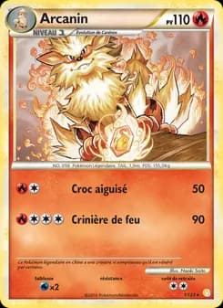 Arcanin 1 — HeartGold SoulSilver
