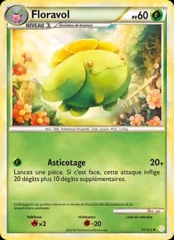 Carte Pokémon