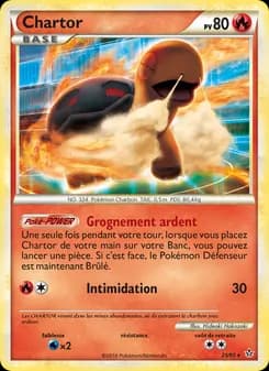 Carte Pokémon