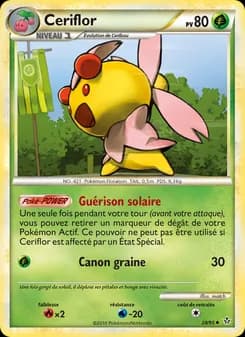 Carte Pokémon