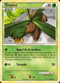 Carte Pokémon