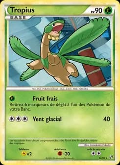 Carte Pokémon