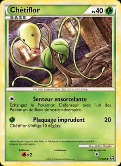 Carte Pokémon
