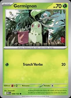 Carte Pokémon