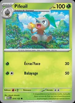 Carte Pokémon