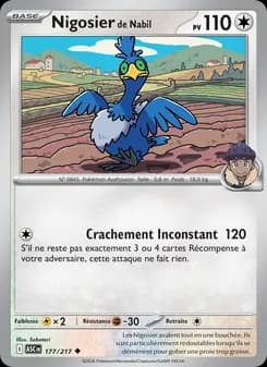 Carte Pokémon