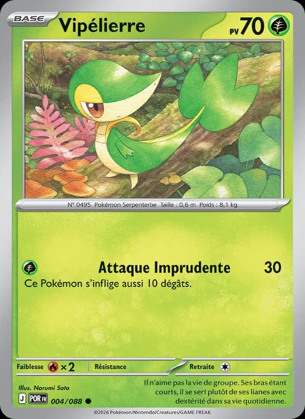 Vipélierre