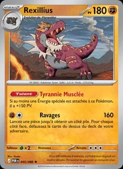 Carte Pokémon