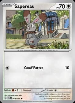 Carte Pokémon