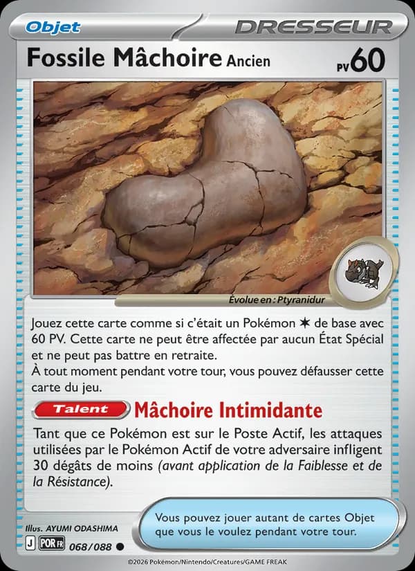 Fossile Mâchoire Ancien