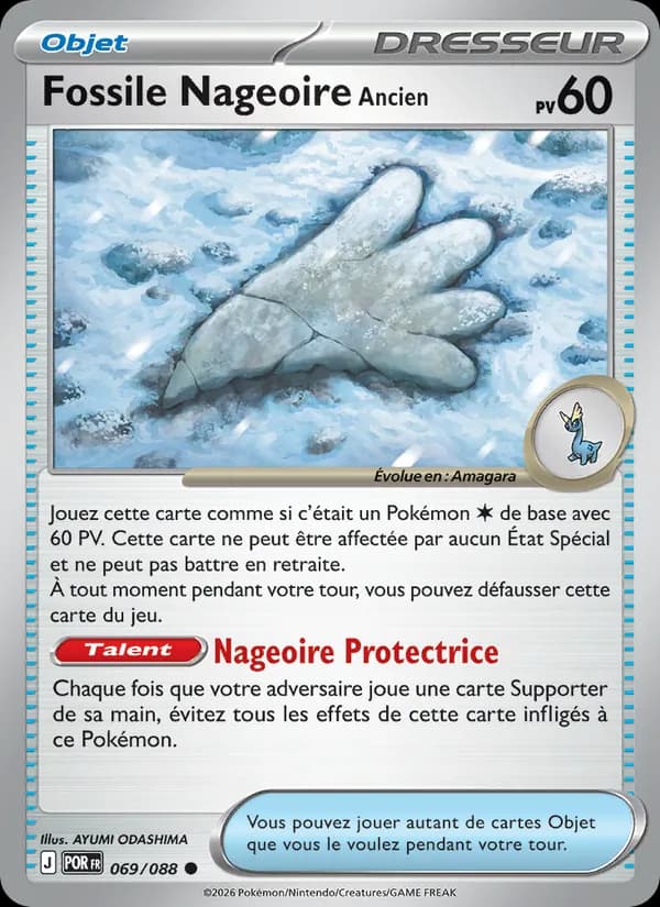 Fossile Nageoire Ancien