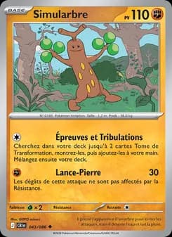 Carte Pokémon