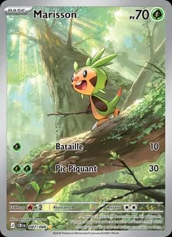 Carte Pokémon