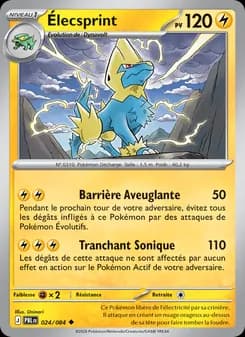 Carte Pokémon