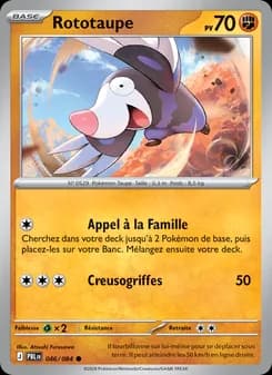 Carte Pokémon