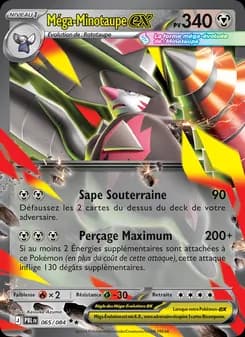 Carte Pokémon