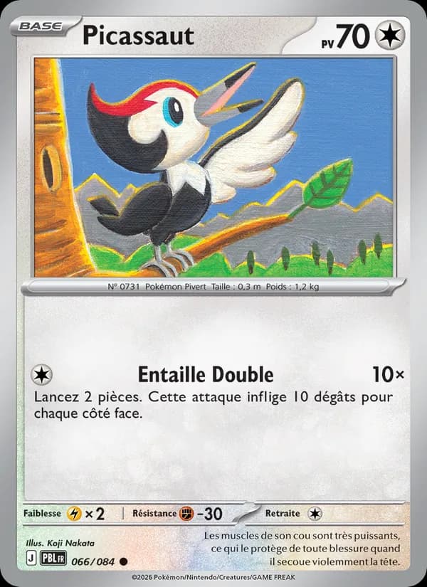 Picassaut