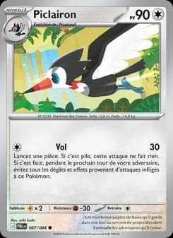 Carte Pokémon