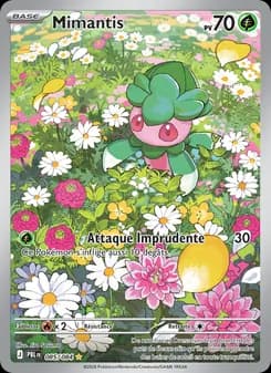 Carte Pokémon