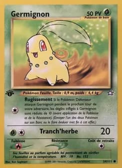 Carte Pokémon