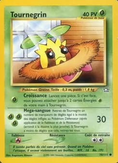 Carte Pokémon