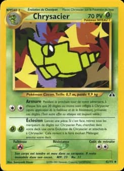 Carte Pokémon