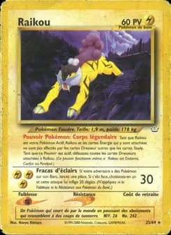 Raikou 22 — Neo Revelation