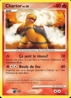 Carte Pokémon