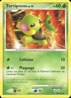 Carte Pokémon