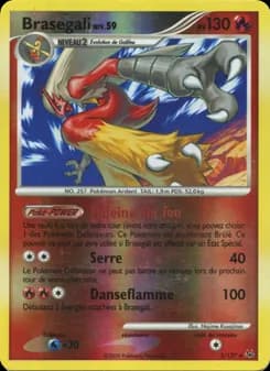 Brasegali 3 — Platine