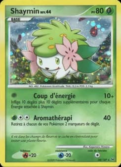 Carte Pokémon