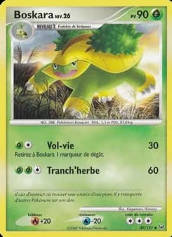 Carte Pokémon