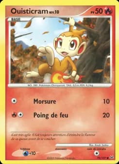 Carte Pokémon