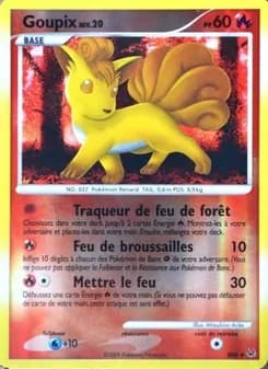 Carte Pokémon