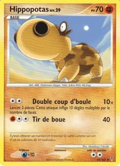 Carte Pokémon