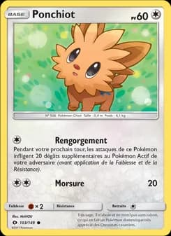 Carte Pokémon