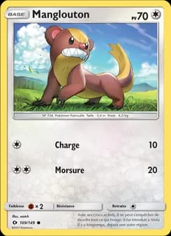 Carte Pokémon