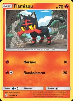 Carte Pokémon