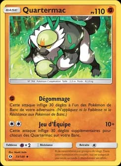 Carte Pokémon