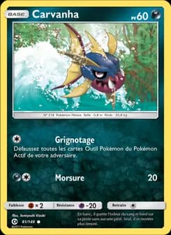Carte Pokémon