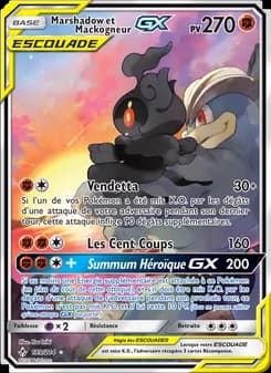 Marshadow et Mackogneur GX 199 — Alliance Infaillible