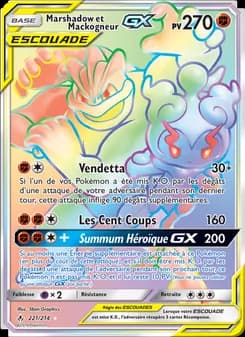 Marshadow et Mackogneur GX 221 — Alliance Infaillible
