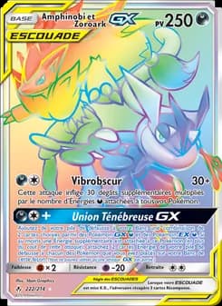 Amphinobi et Zoroark GX 222 — Alliance Infaillible