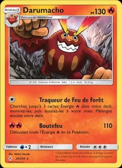 Carte Pokémon