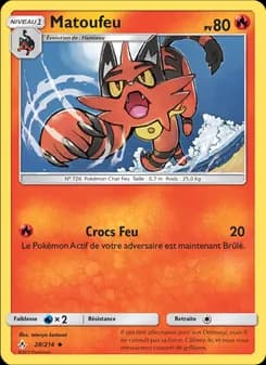 Carte Pokémon