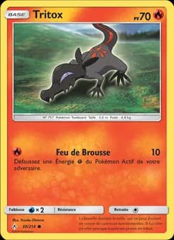 Carte Pokémon