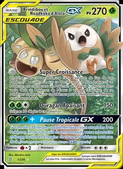 Carte Pokémon