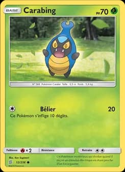 Carte Pokémon