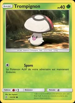 Carte Pokémon